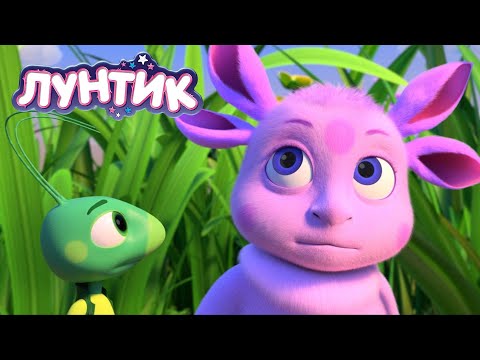 Видео: Лунтик | Сборы в школу | Мультики для детей