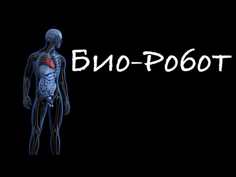 Видео: Человек по Квантовой Психологии... #квантоваяпсихология #психологияличности #психологияжизни
