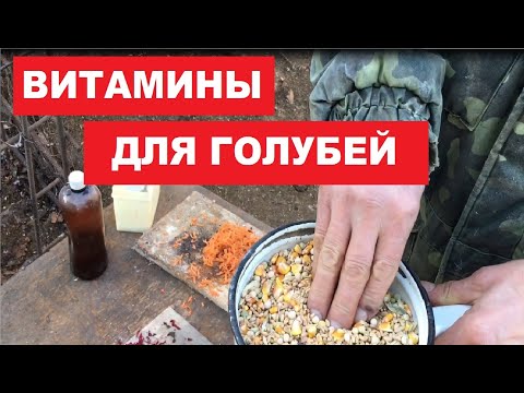 Видео: Рыбий жир и витамины для голубей