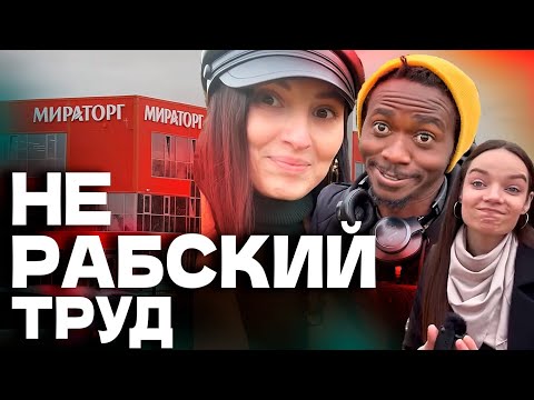 Видео: МИРАТОРГ 🥬🥔🥩РАБОТА ВАХТОЙ | жизнь в городе Плавск | деньги 🤑, коллектив🤗, еда🥘 Черный русский