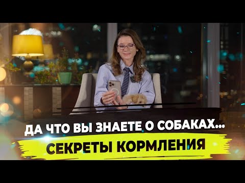 Видео: Коллапс трахеи. Пищевая аллергия у собак. Лишай. На что аллергия у собаки?