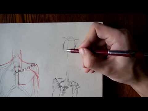 Видео: Как нарисовать плечи