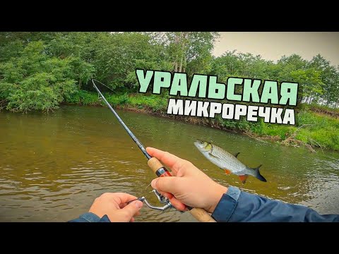 Видео: Голавль в притоке Чусовой | Ловлю на Уральской речке c Abu Garcia TMNS-605L