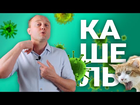 Видео: КАШЕЛЬ. Откуда берётся и как избавляться.