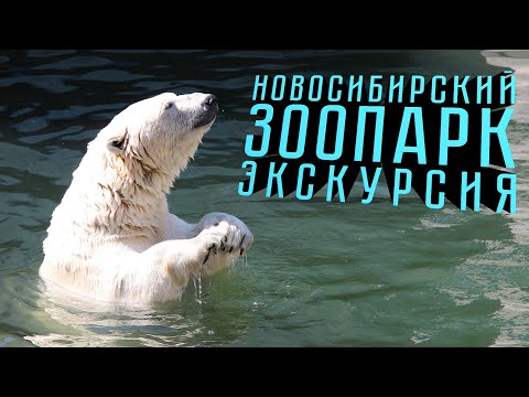 Видео: НОВОСИБИРСКИЙ ЗООПАРК | экскурсия