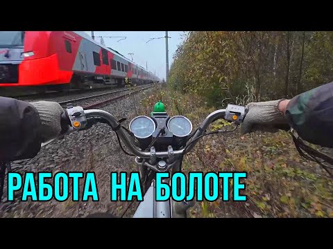 Видео: За КЛЮКВОЙ на мопеде по ЖД. Тону в болоте...