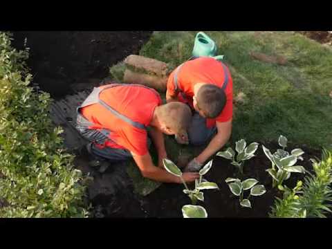 Видео: "Парк-Осётр". Теневой садик.