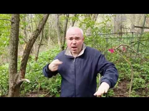 Видео: О первом председателе Московского Общества глухих Альберте Шлиппе - с субтитрами