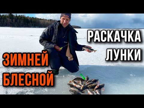 Видео: Раскачка лунки зимней блесной