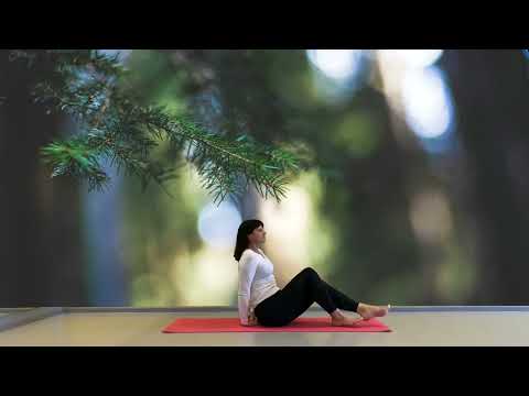 Видео: Хатха йога. 3D формы в асанах.