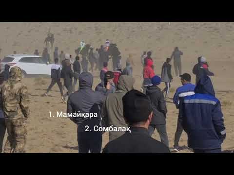 Видео: Аламан Соңғы круг Таушық 17.10.21 Бекет ата 270