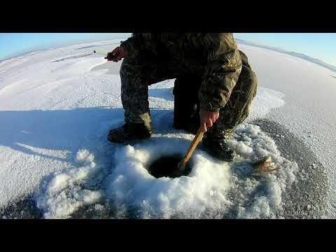 Видео: Зимняя рыбалка   Гусинное озеро - Бурятия