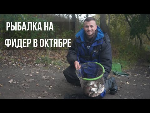 Видео: Городская рыбалка на фидер В ОКТЯБРЕ! Разведка новых мест!