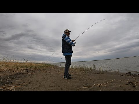 Видео: В СТЕПЯХ КАЗАХСТАНА, ЕСТЬ ОЗЕРО С РЫБОЙ!!!