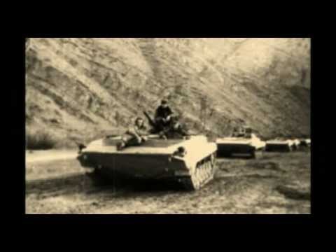 Видео: серая кукушка за рекой
