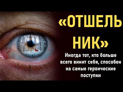 Видео: «ОТШЕЛЬНИК». Эта история тронула меня до слёз… Рассказ, который невозможно забыть.