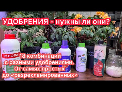 Видео: Я ПРОТЕСТИРОВАЛ РАЗНЫЕ УДОБРЕНИЯ - и вот результаты