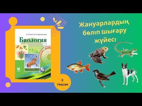 Видео: 7 сынып жануарлардың бөліп шығару