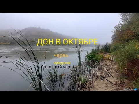 Видео: РЫБАЛКА НА ДОНУ В ОКТЯБРЕ!!!