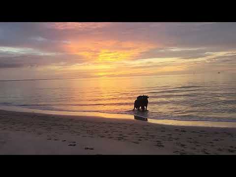 Видео: Закат на венесуэльском горизонте