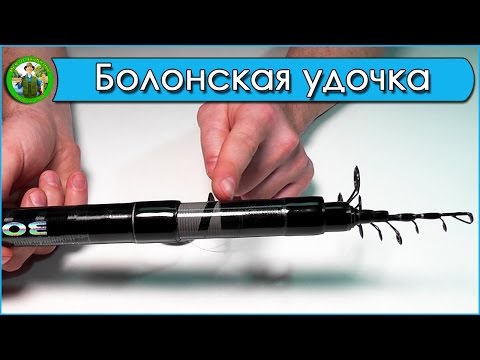 Видео: Болонское Удилище SIWEIDA ULTIMATE BOLO