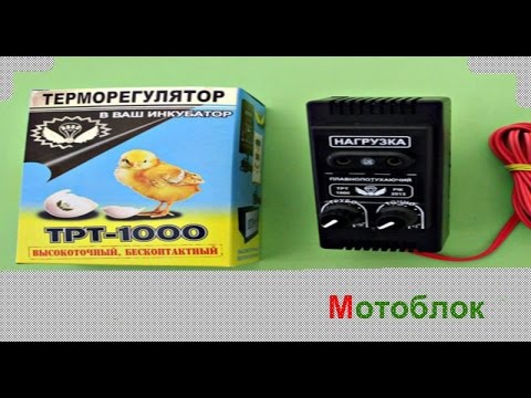 Видео: Терморегулятор для инкубатора ТРТ-1000 плавнозатухающий (с двумя регулировками)
