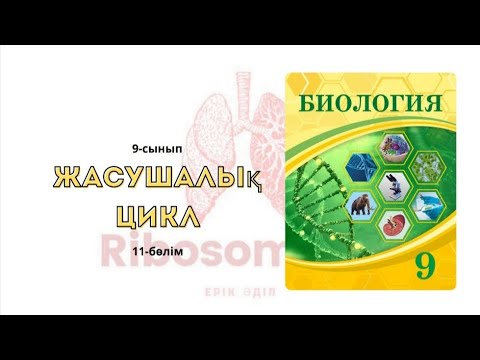 Видео: 9-сынып Жасушалық цикл | 11-бөлім | Ribosome.kz | Ерік Әділ