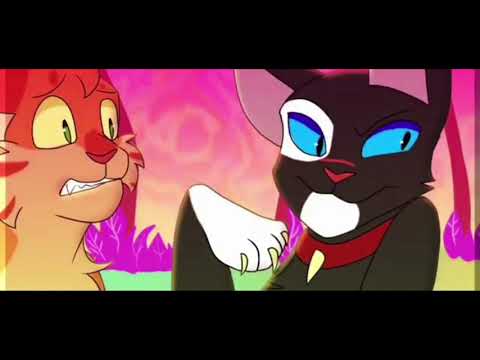 Видео: Коты воители-Огнезвёзд,Бич и Звездоцап {жить в блеске}💫💥