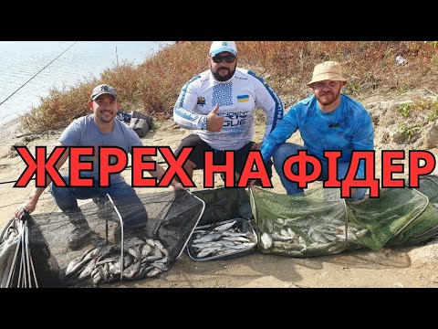 Видео: ЖЕРЕХ НА ФІДЕР! Рибалка на Дністрі восени!