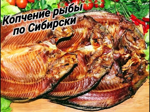 Видео: Копчение сазанов и язей по Сибирски в домашних условиях! Очень вкусно и просто!