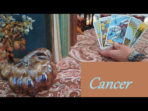 Видео: Рак ❤ ВСЁ, о чём вы молились, но лучше ВАША ВТОРАЯ ПОЛОВИНКА 25 ноября #Рак #Таро