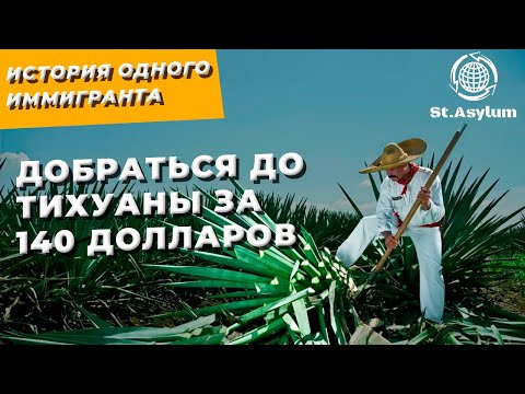Видео: Добраться до Тихуаны за 140 долларов