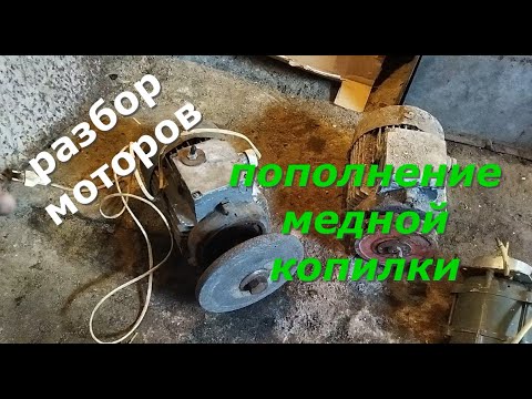 Видео: РАЗБОР ЭЛЕКТРОДВИГАТЕЛЕЙ НА МЕДЬ