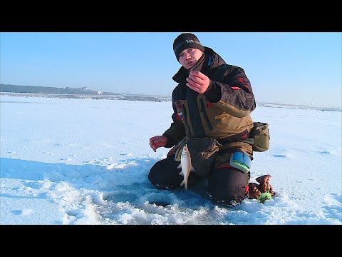 Видео: АКТИВНЫЙ ПОИСК ПЛОТВЫ ПО ПЕРВОМУ ЛЬДУ