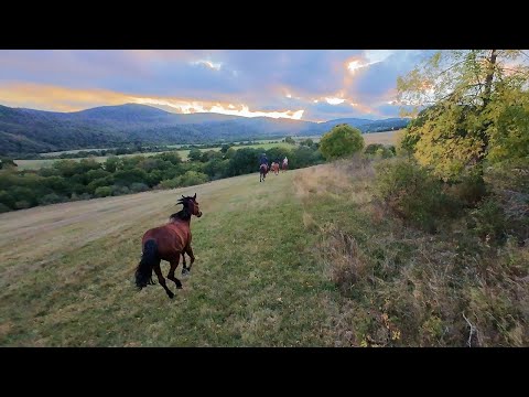Видео: Самые красивые галопы мира: Грузия