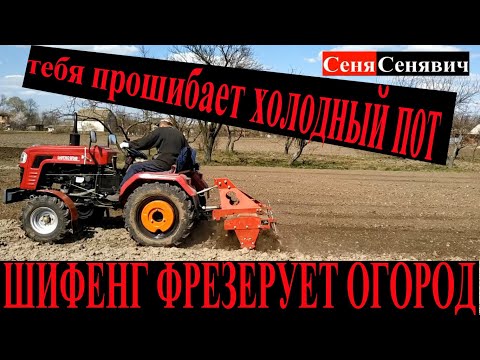 Видео: Минитрактор Шифенг 240 и почвофреза 140, как шифенг фрезерует огород, СЛАБЫМ ДУХОМ не повторять)