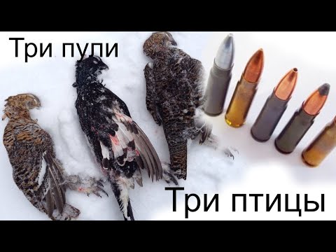 Видео: ЛУЧШИЙ патрон для копытных.