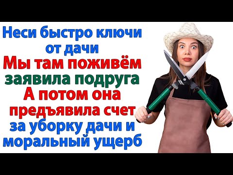 Видео: Хочешь потерять подругу — пусти пожить на халяву! Верни мне ДЕНЬГИ за комаров и мусор! орала она