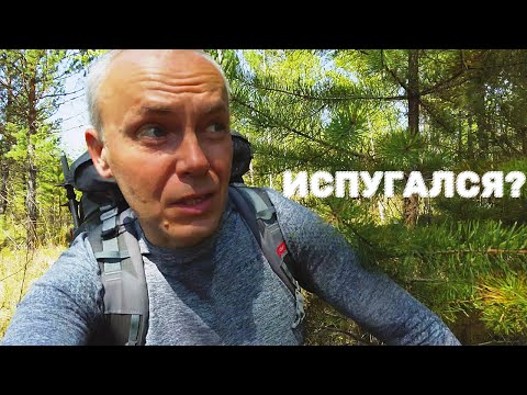 Видео: История о том, как я решил пройти от Малой до Большой Олхи по пади Каймурастуй в мембранных носках 😅