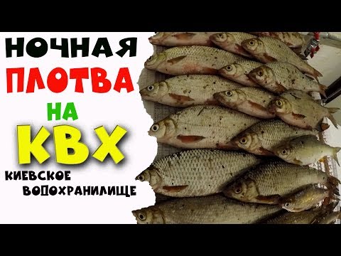 Видео: Ночная плотва на КВХ. Фидер на Киевском водохранилище