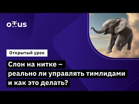 Видео: Слон на нитке – реально ли управлять тимлидами и как это делать? //  Курс «Delivery Manager»