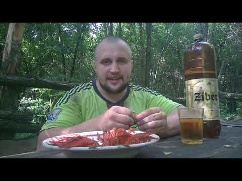Видео: Пиво zibert и раки