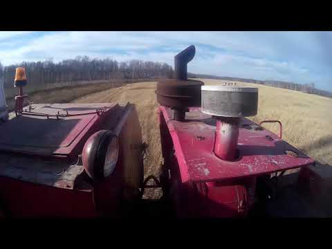 Видео: Уборка урожая 2018.  Продолжение. Енисей 1200-1 и Мтз-80