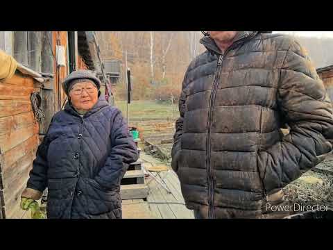 Видео: Жизнь аборигенки. 25 октября 2025 г.