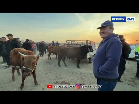 Видео: БЕРУНИЙ АБАЙ МОЛ БОЗОРИ 22 ОКТЯБР 2025