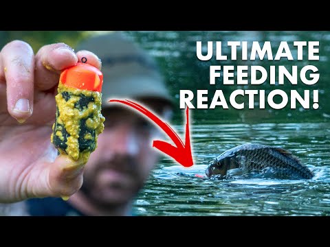 Видео: Ловля рыбы на плавающую кормушку — заставьте рыбу плыть по течению!