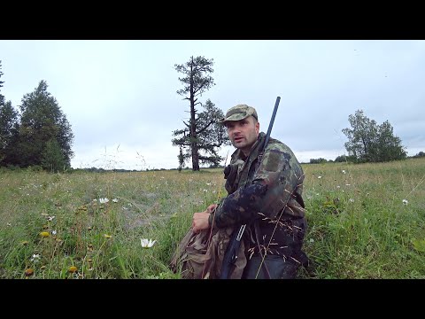 Видео: ОХОТА НА УТКУ С ПОДХОДА. ДОБЫТО МНОГО ПТИЦЫ. Ружье  Franchi Affinity One. Отличные кадры.