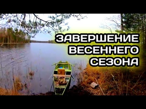 Видео: Весенняя Рыбалка сетями на Лесном Озере | День 8 | Крайний
