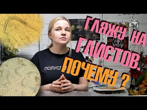 Видео: Паразиты у амфибий. Почему я стала их искать?