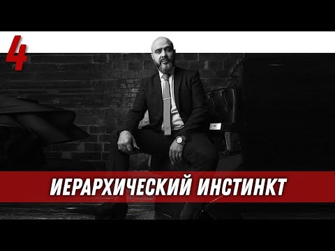 Видео: Управление половым влечением | Иерархический инстинкт
